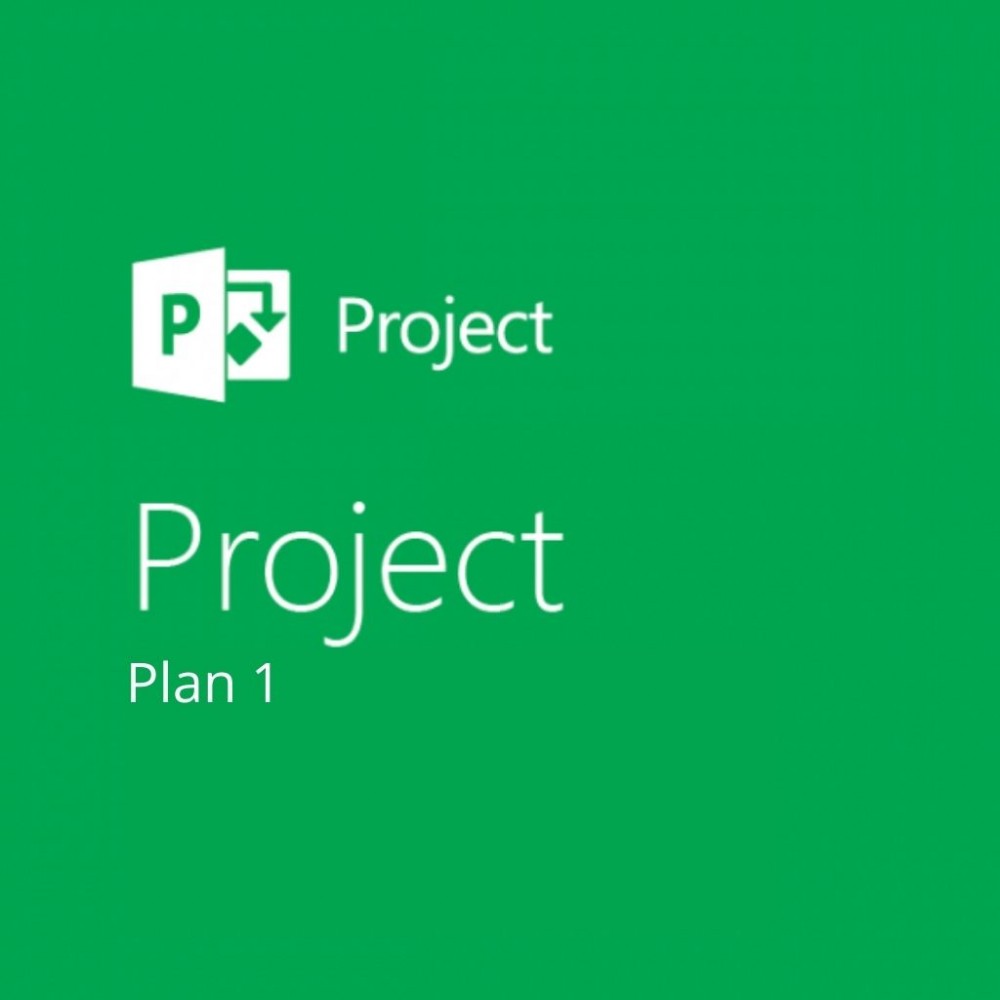 Project Plan 1